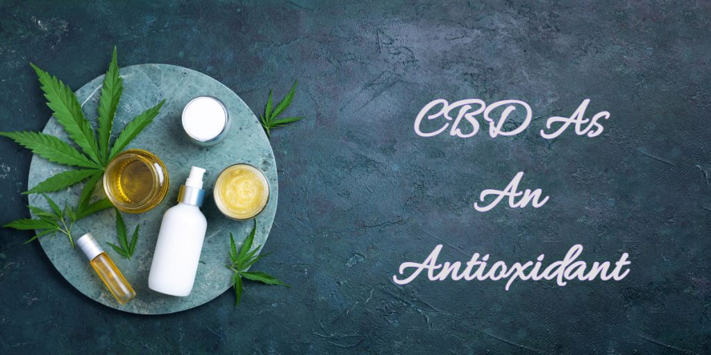 CBD As An Antioxidant