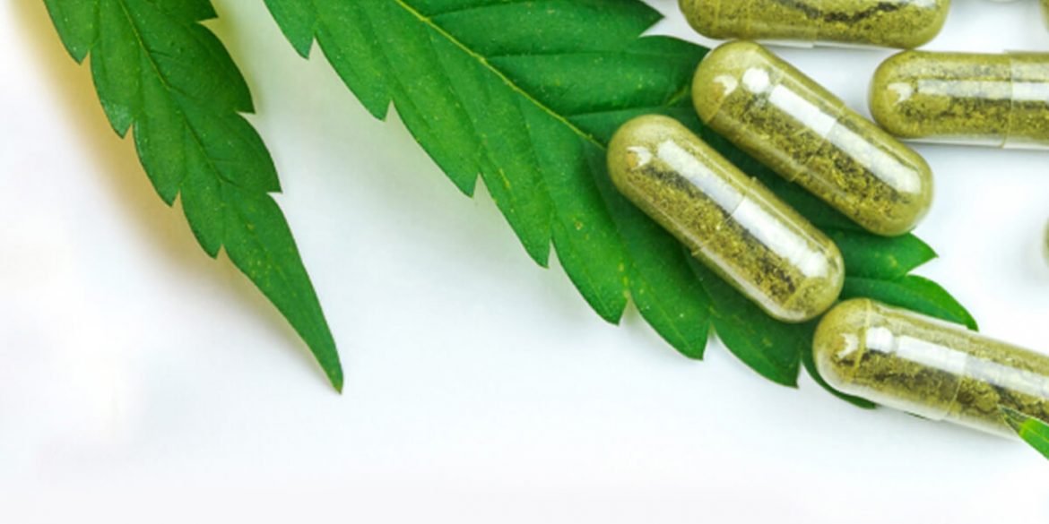 What Is Full-Spectrum Hemp Extract and What are its Uses?