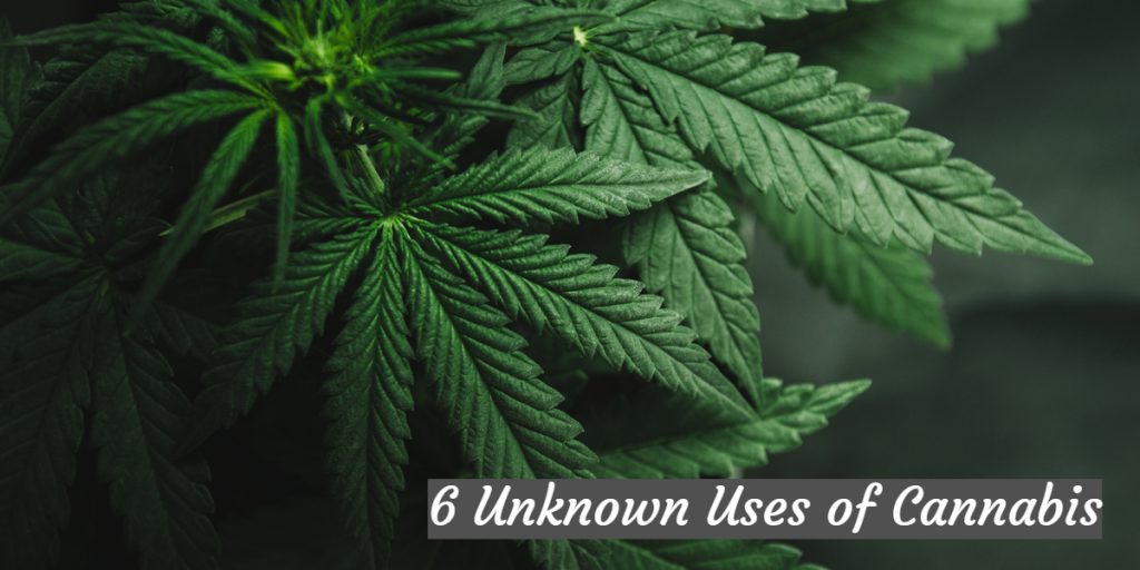 6 Unknown Uses of Cannabis