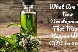 What Are The New Developments That Might Happen With CBD In 2021
