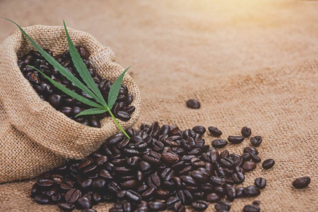 How does cbd coffee enhance mornings